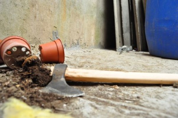 Un bărbat a fost arestat, după bătaia cu toporul de la Medgidia